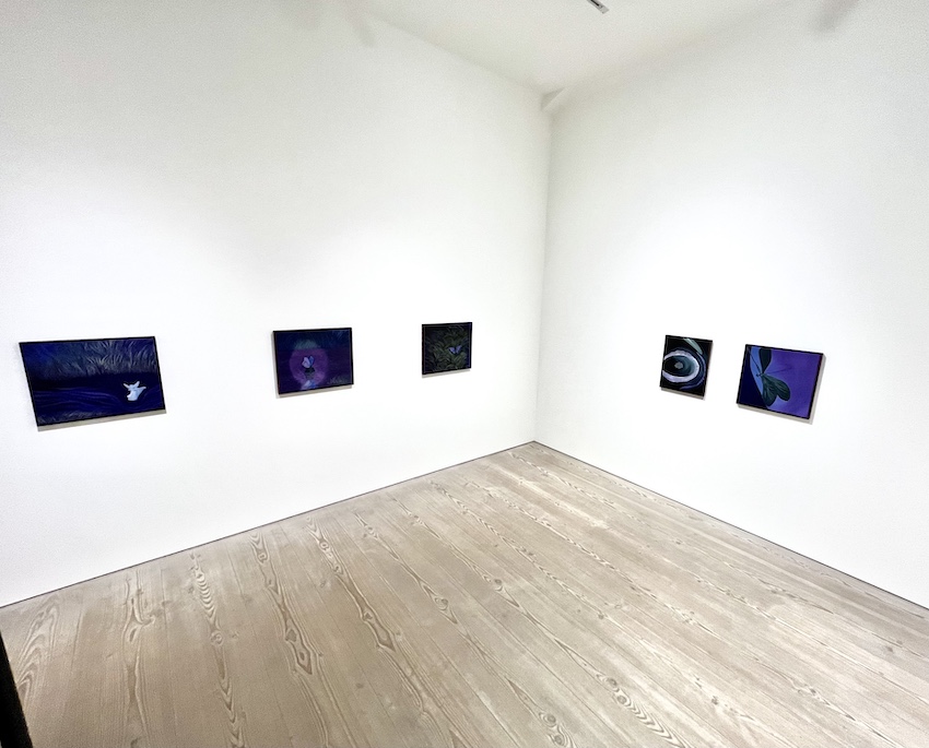 Installation view: Hjördis Greta Gudmundsdottir / Light and Darkness, 2025.