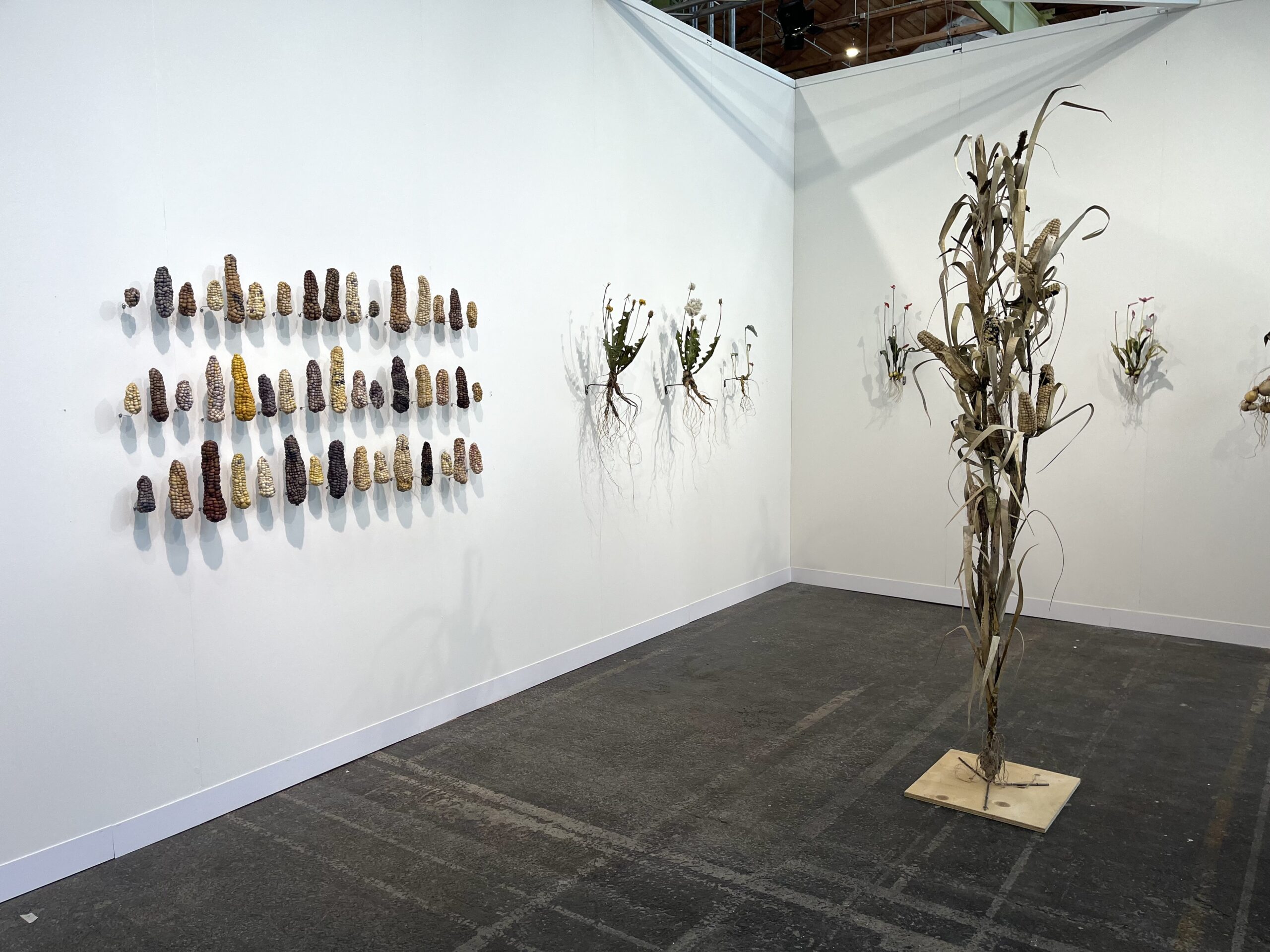 Enter Art Fair, 2026. Moa Israelsson