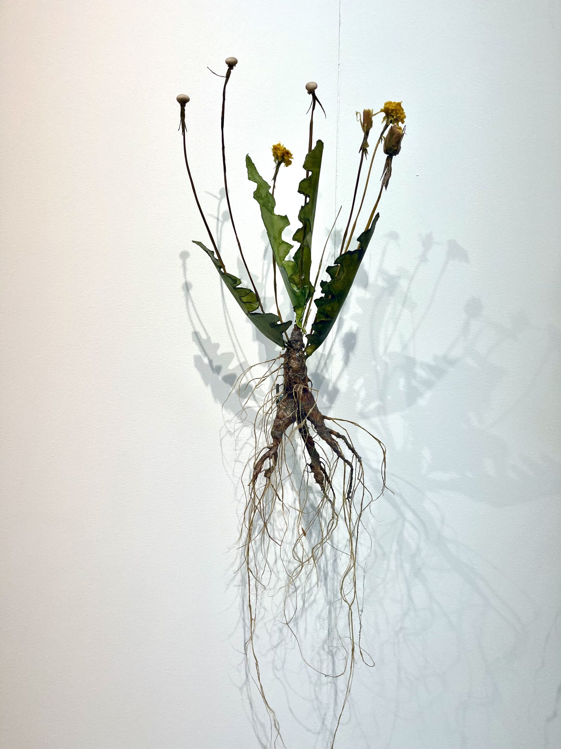 Enter Art Fair, 2026. Moa Israelsson.