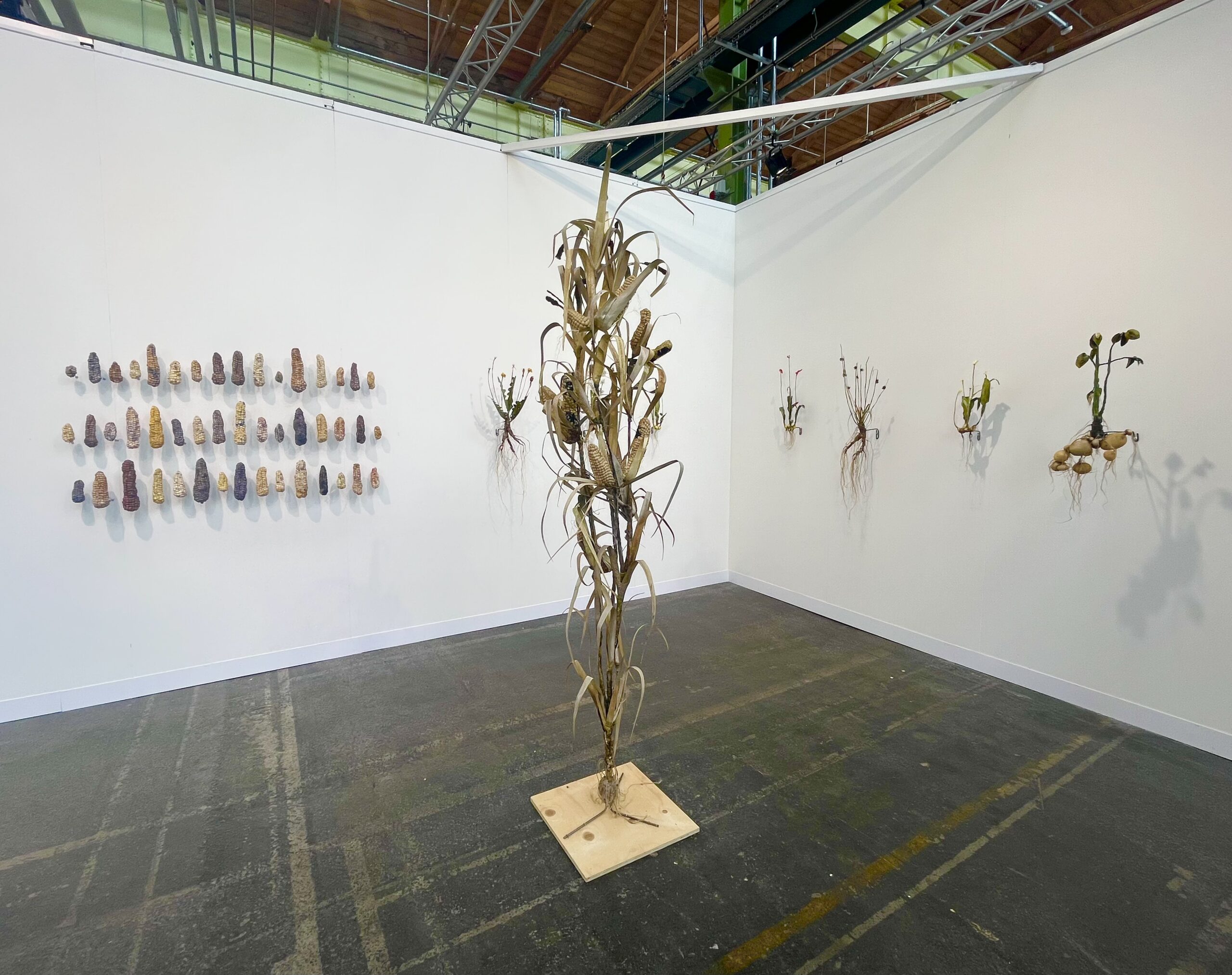 Enter Art Fair, 2026. Moa Israelsson
