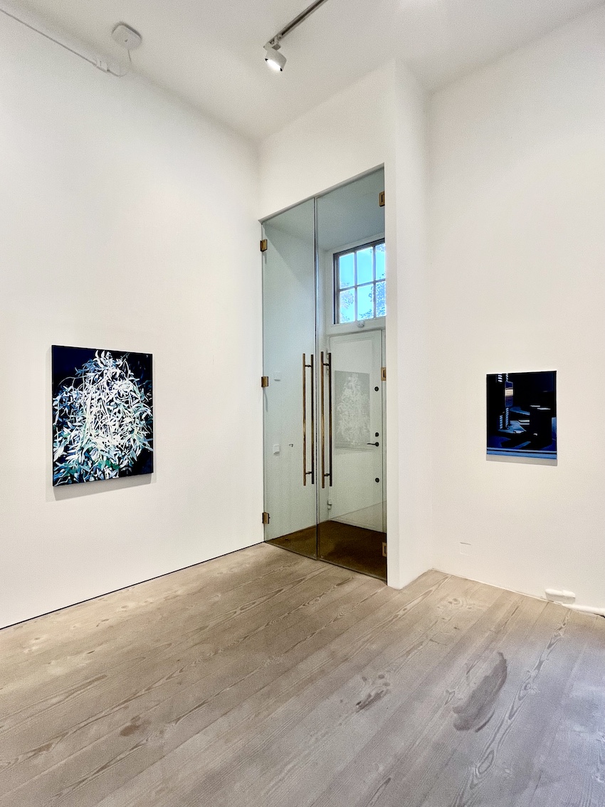 Installation view: Pauliina Pietilä / Light and Darkness, 2025.