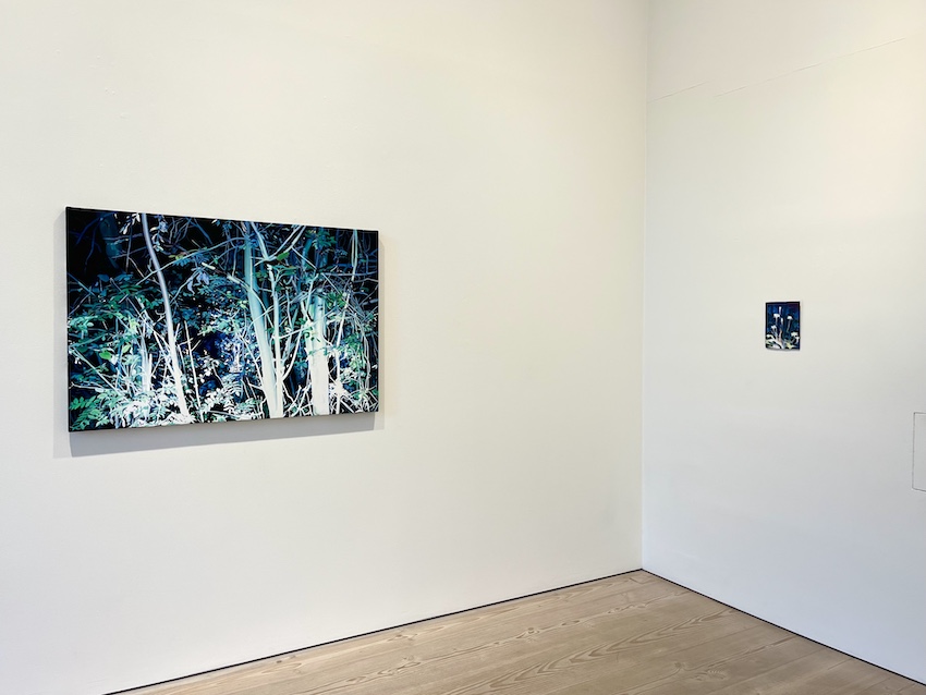 Installation view: Pauliina Pietilä / Light and Darkness, 2025.
