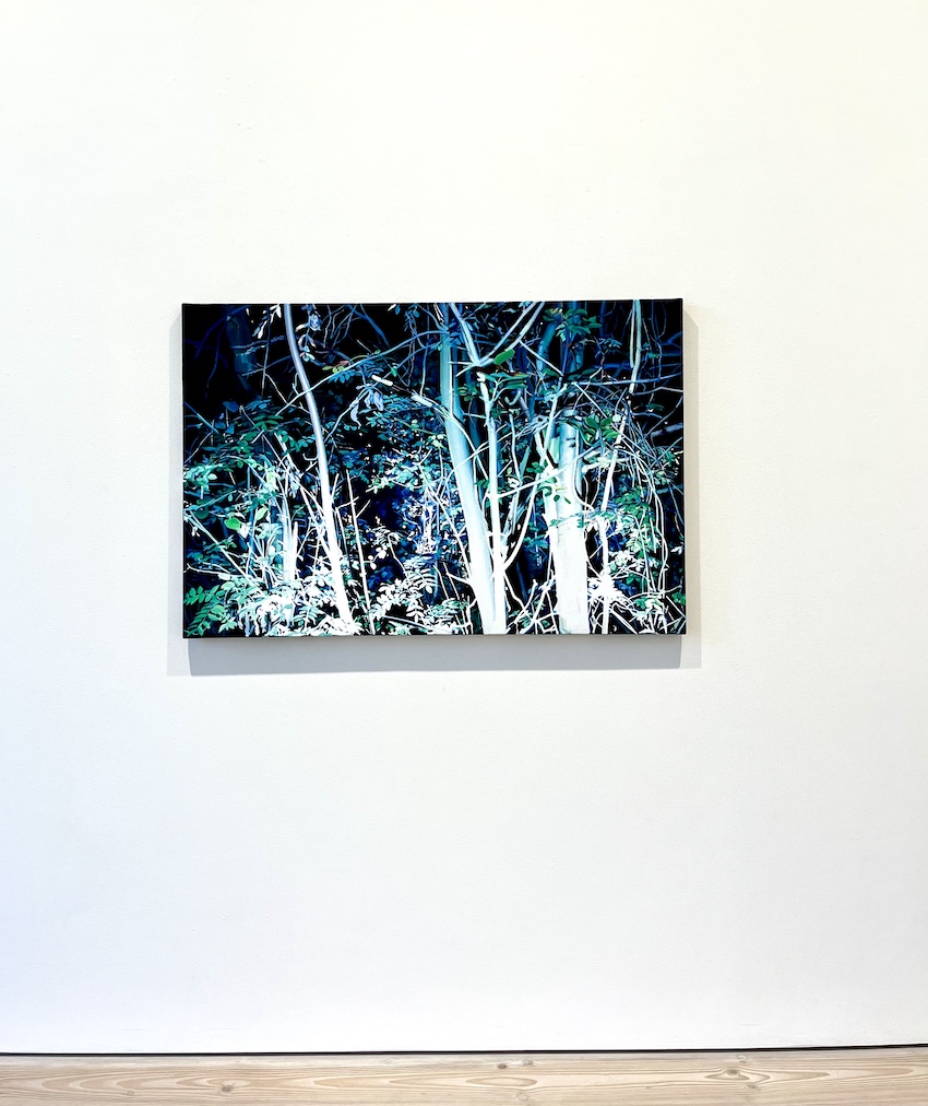 Pauliina Pietilä:
MIDSOMMARNATTSDRÖM, 2024
Olja på duk
80 x 120 cm