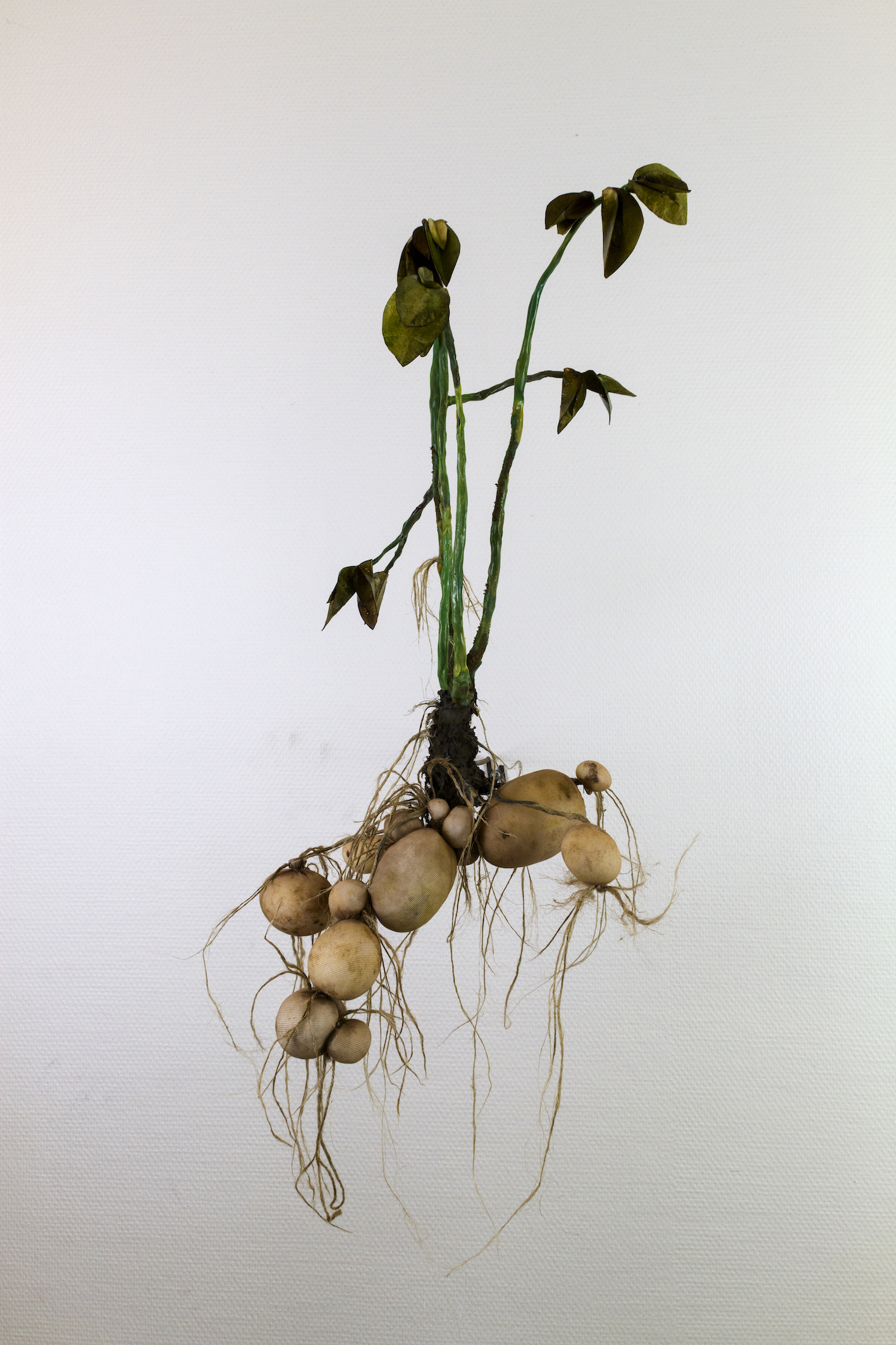 Moa Israelsson, "Solanum II", 2024, paper, watercolor, epoxi, hemp, nylon, 80 x 24 x 40 cm
