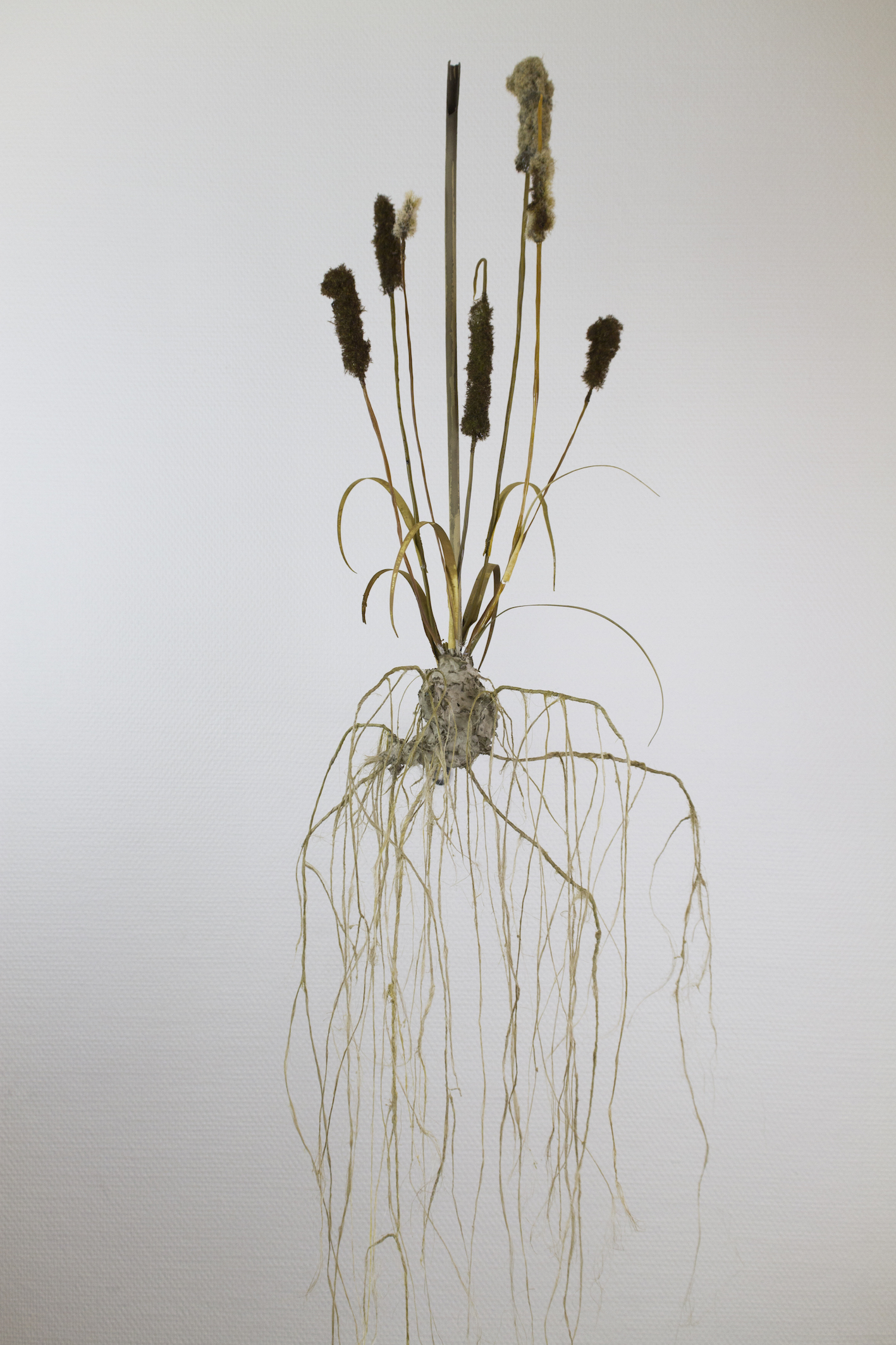 Moa Israelsson, "A Horizon IV", 2024, paper, watercolor, epoxi, hemp, nylon, 80 x 28 x 43 cm