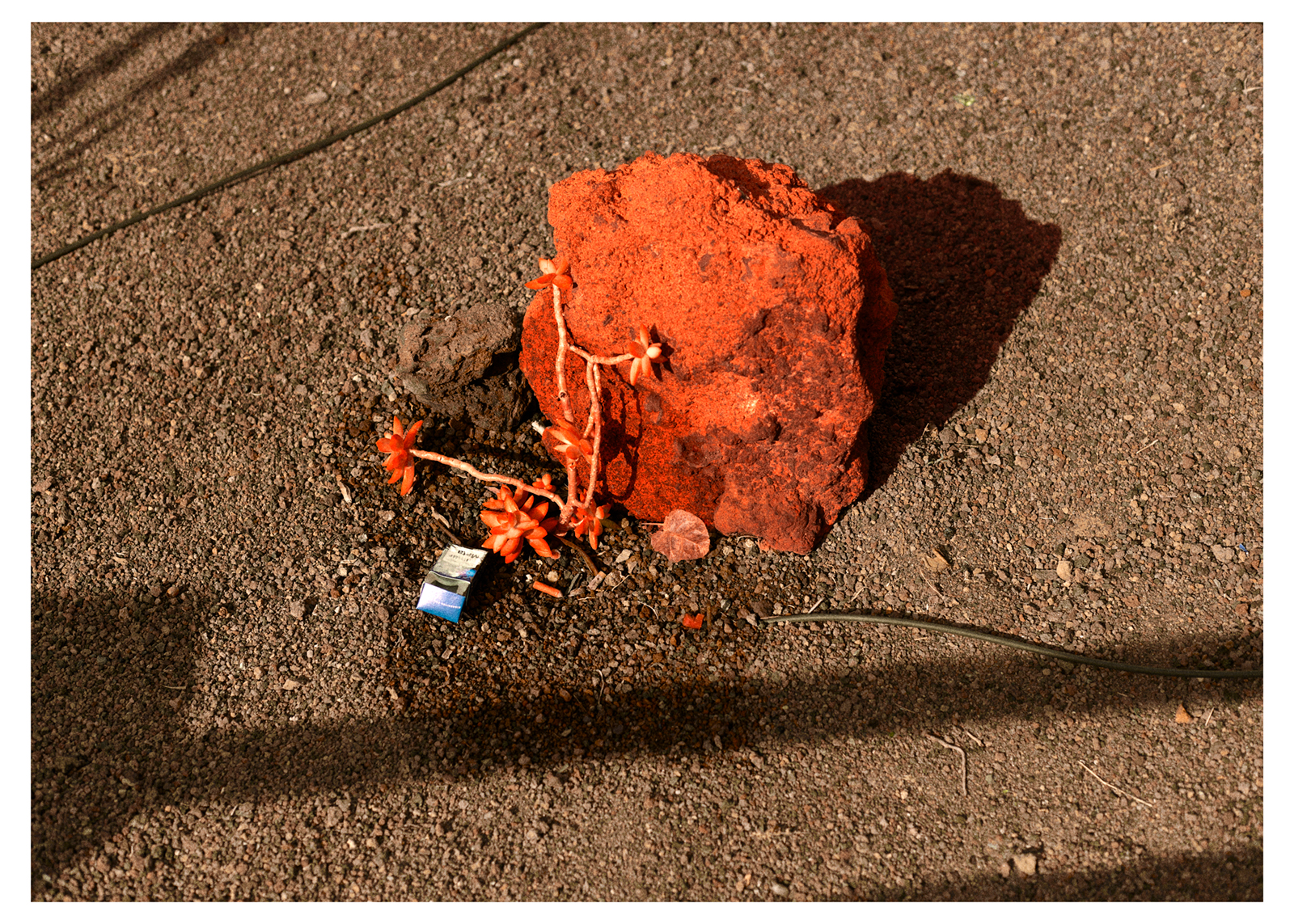 Transit X, 2026
Archival Fine Art Pigment Print
upplaga 5 (+ 3 a.p.). Seizes:
1. 30 x 42 cm = 14 000 kr
2. 52 x 77 cm = 25 000 kr
3. 73 x 101 cm = 30 000 kr