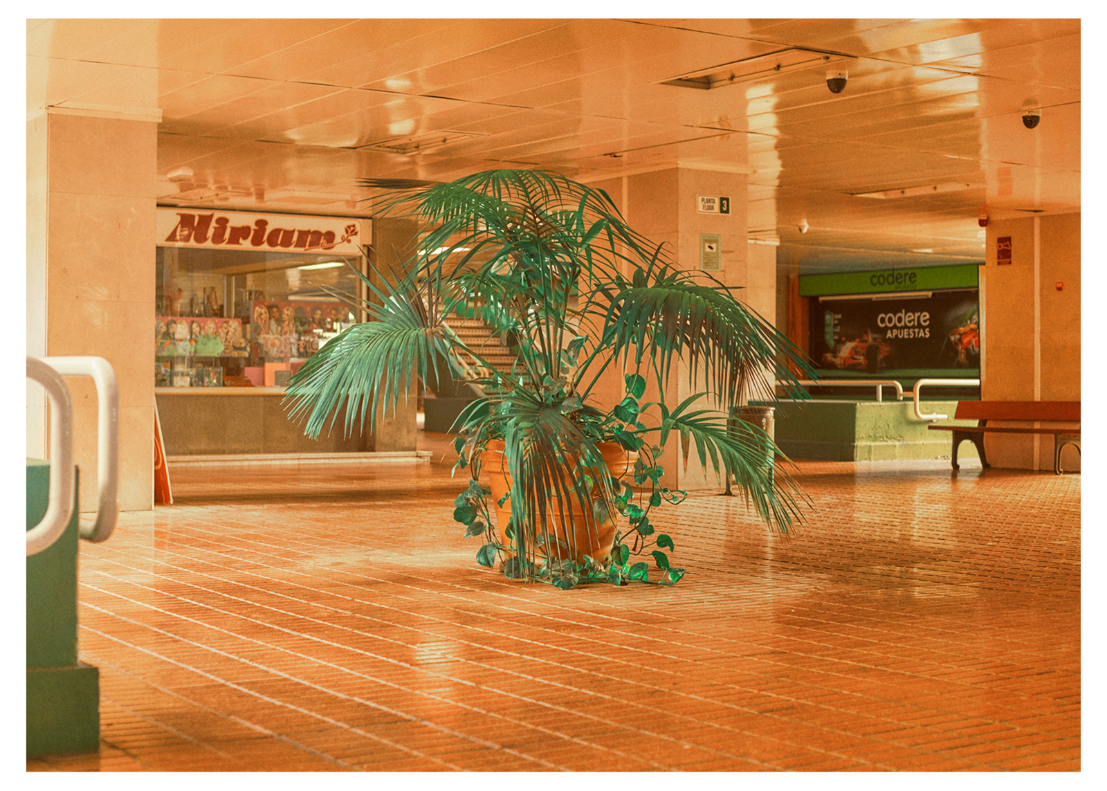 Transit II, 2026
Arcivally Fine Art Pigment Print
upplaga 5 (+ 3 a.p.). Seizes:
1. 30 x 42 cm = 14 000 kr
2. 52 x 77 cm = 25 000 kr
3. 73 x 101 cm = 30 000 kr